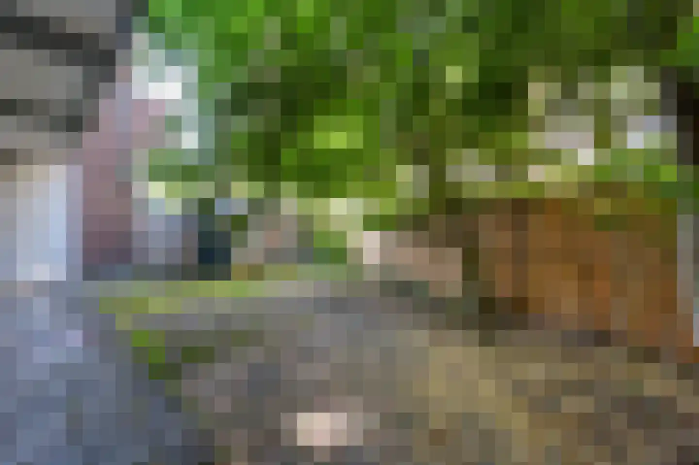 Laan van Nieuw Oosteinde 504 Voorburg thumbnail 19