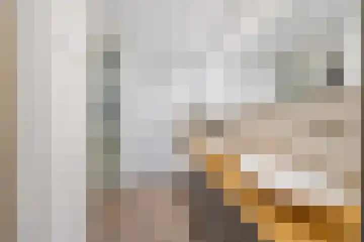 Laan van Nieuw Oosteinde 74 Voorburg thumbnail 21