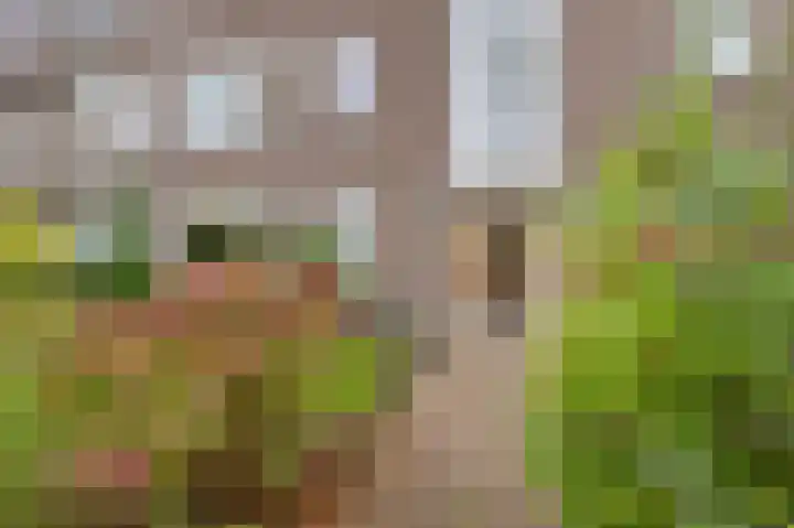 Laan van Nieuw Oosteinde 74 Voorburg thumbnail 5