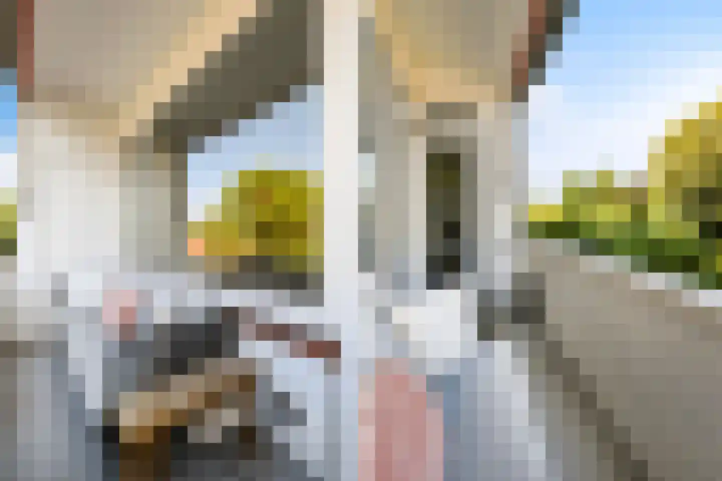 Laan van Nieuw Oosteinde 90 Voorburg thumbnail 31
