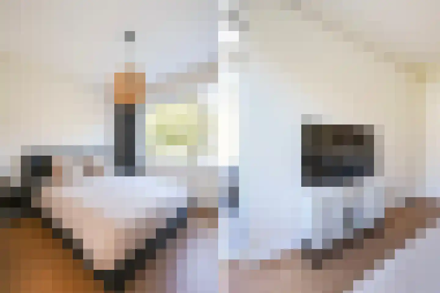 Laan van Nieuw Oosteinde 90 Voorburg thumbnail 34