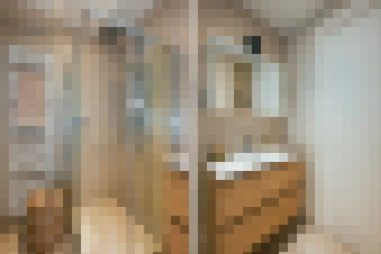 Laan van Nieuw Oosteinde 90 Voorburg thumbnail 38