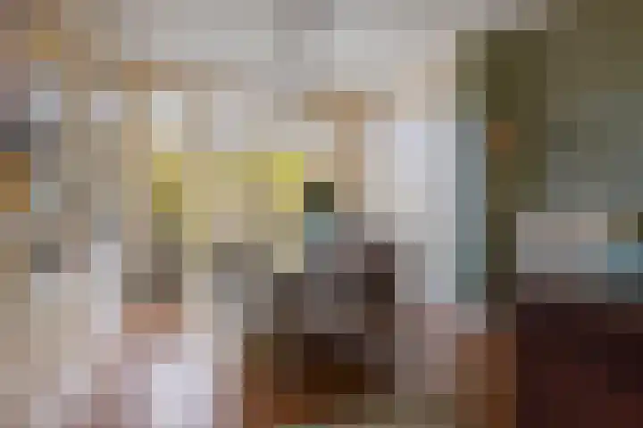 Laan van Nieuwenhove 14 Middelburg thumbnail 14