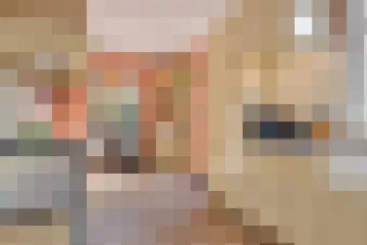 Laan van Nieuwenhove 14 Middelburg thumbnail 16