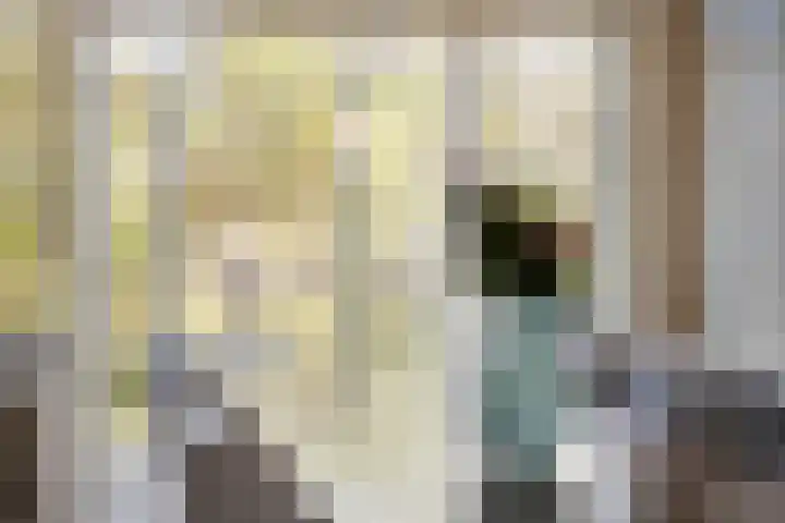 Laan van Nieuwenhove 14 Middelburg thumbnail 22