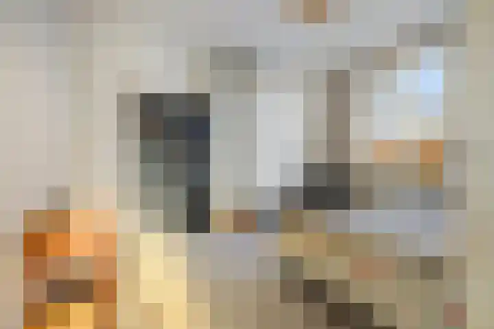 Laan van Nieuwenhove 14 Middelburg thumbnail 23