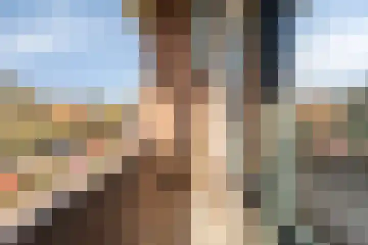 Laan van Nieuwenhove 14 Middelburg thumbnail 35