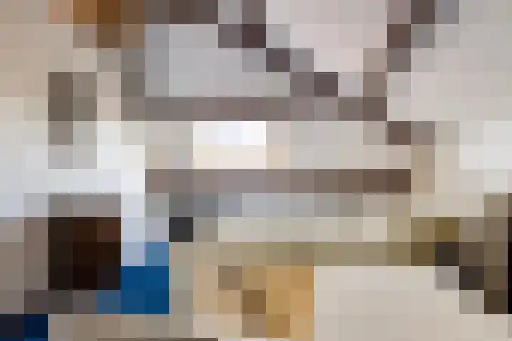 Laan van Nieuwenhove 14 Middelburg thumbnail 39
