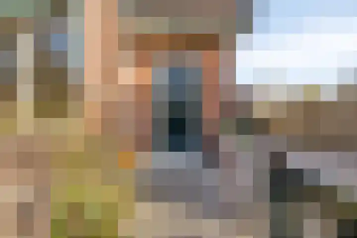 Laan van Nieuwenhove 14 Middelburg thumbnail 4