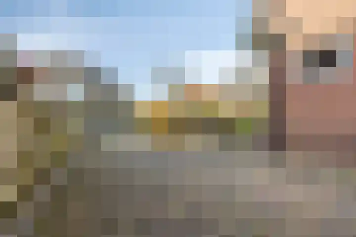 Laan van Nieuwenhove 14 Middelburg thumbnail 43