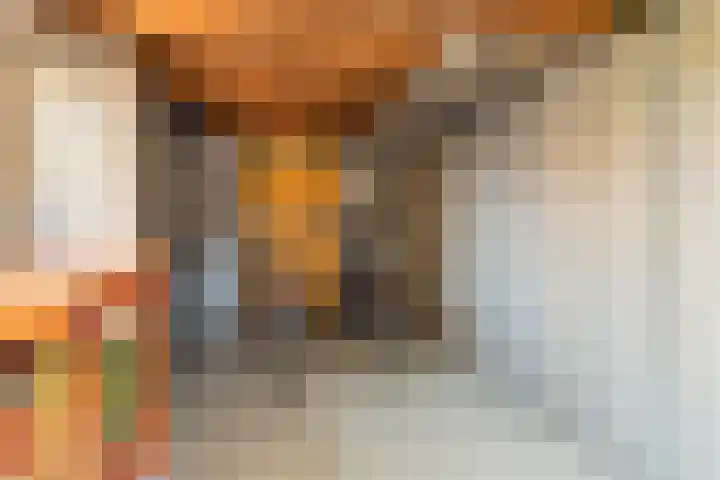 Laan van Nieuwenhove 14 Middelburg thumbnail 47