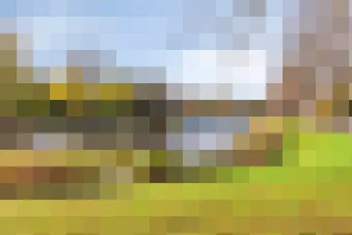 Laan van Nieuwenhove 14 Middelburg thumbnail 50