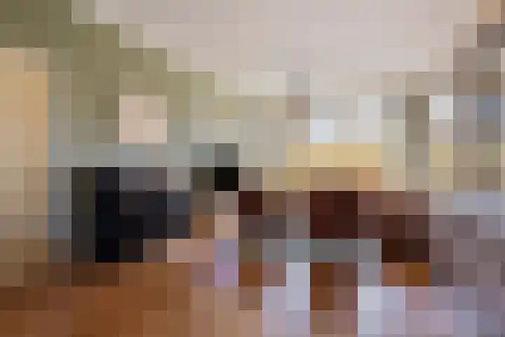 Laan van Nieuwenhove 14 Middelburg thumbnail 9