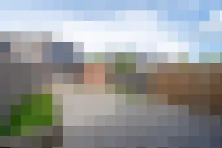 Laan van Nieuwoord 66 Woudenberg thumbnail 10