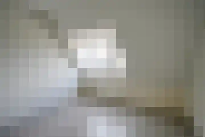 Laan van Nieuwoord 66 Woudenberg thumbnail 16