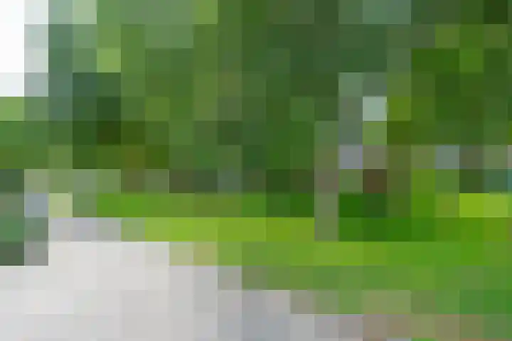 Laan van Nieuwoord 66 Woudenberg thumbnail 24