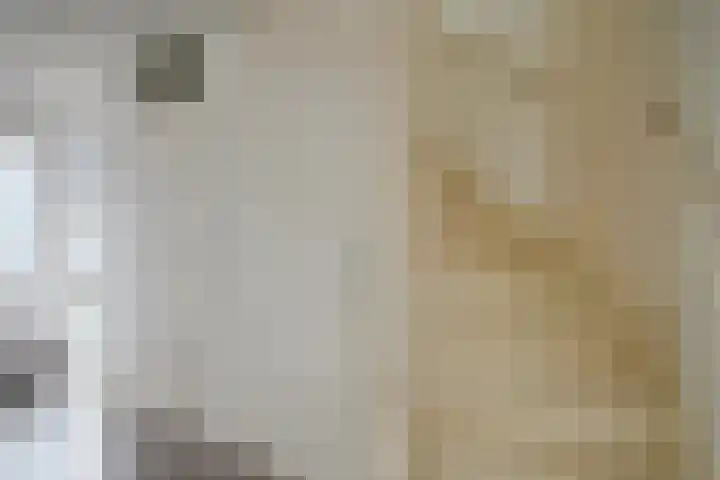 Laan van Nieuwoord 66 Woudenberg thumbnail 4