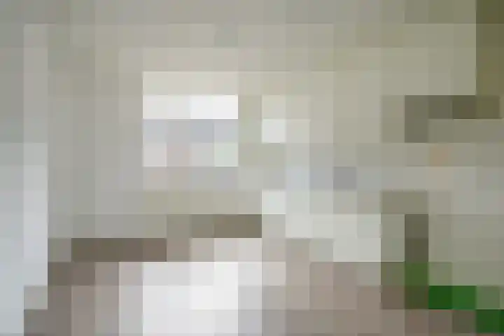 Laan van Nieuwoord 66 Woudenberg thumbnail 6
