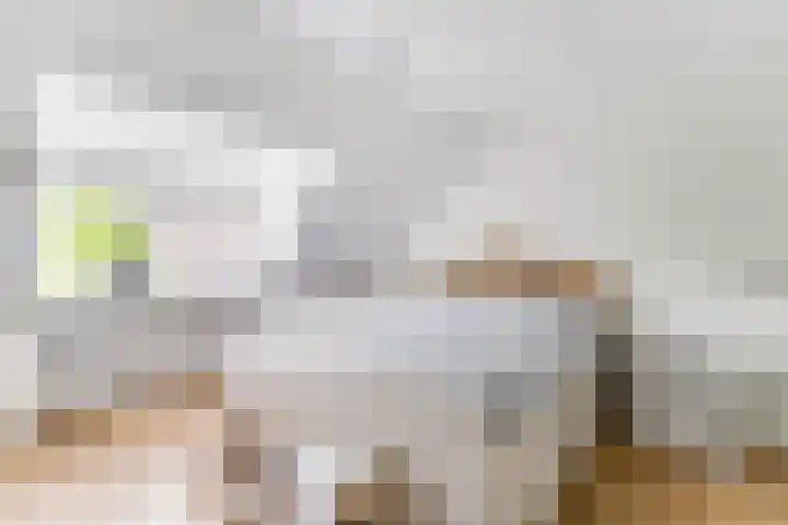 Laan van Nieuwoord 76 Woudenberg thumbnail 25