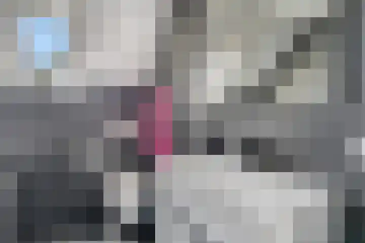 Laan van Nieuwoord 76 Woudenberg thumbnail 27