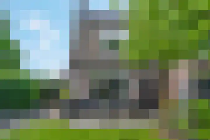 Laan van Nieuwoord 76 Woudenberg thumbnail 38