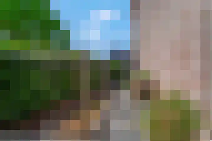 Laan van Nieuwoord 76 Woudenberg thumbnail 39