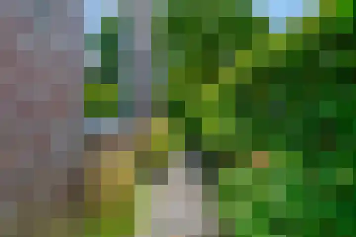Laan van Nieuwoord 76 Woudenberg thumbnail 40