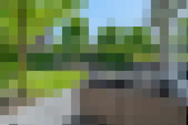 Laan van Nieuwoord 76 Woudenberg thumbnail 44