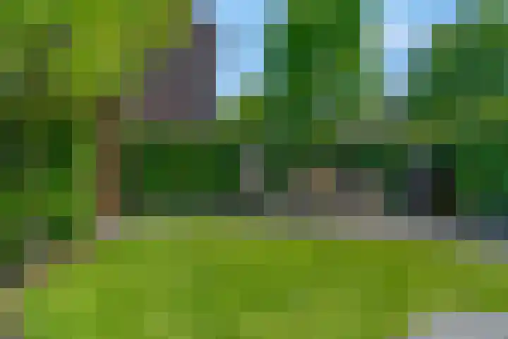 Laan van Nieuwoord 76 Woudenberg thumbnail 45