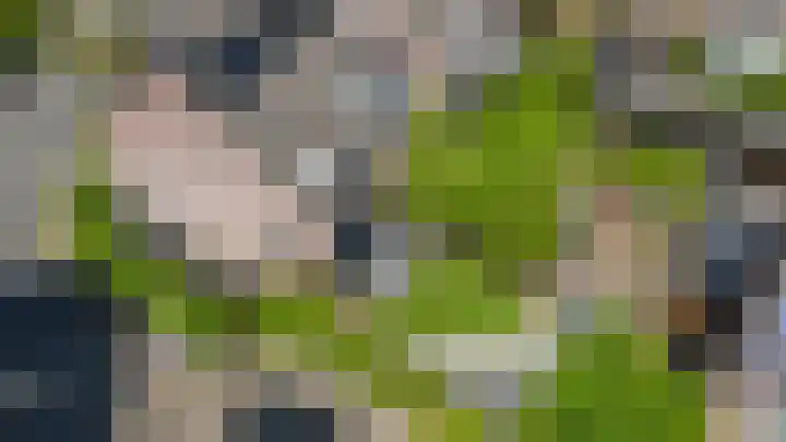 Laan van Nieuwoord 76 Woudenberg thumbnail 47