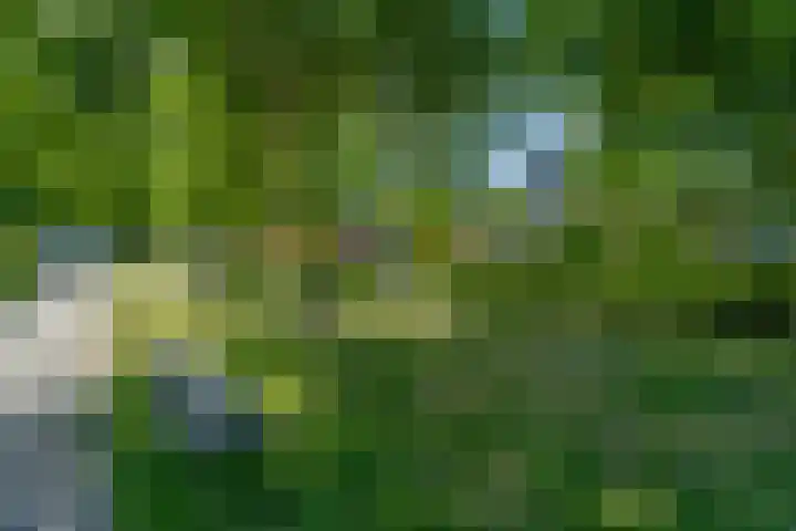 Laan van Nieuwoord 76 Woudenberg thumbnail 48