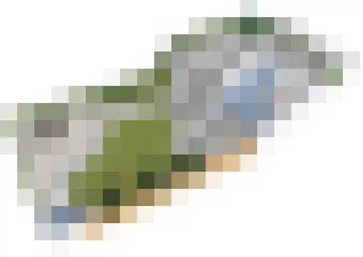 Laan van Nieuwoord 76 Woudenberg thumbnail 58