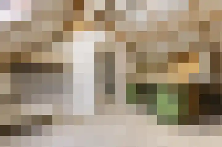 Laan van Niftarlake 111 Tienhoven thumbnail 21