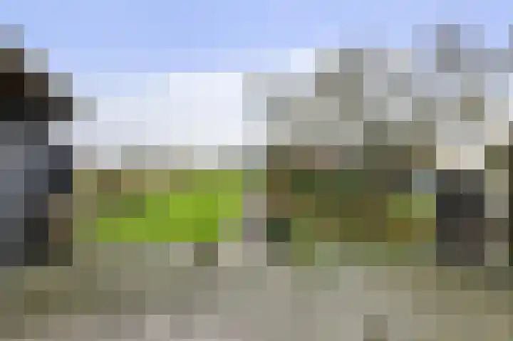 Laan van Niftarlake 111 Tienhoven thumbnail 23