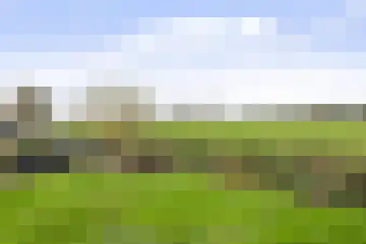 Laan van Niftarlake 111 Tienhoven thumbnail 24