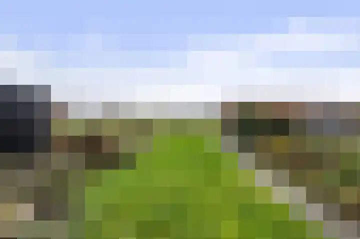 Laan van Niftarlake 111 Tienhoven thumbnail 25