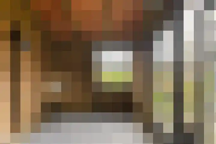 Laan van Niftarlake 111 Tienhoven thumbnail 29