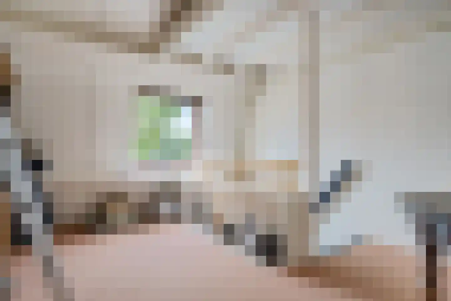 Laan van Niftarlake 37 Tienhoven thumbnail 31