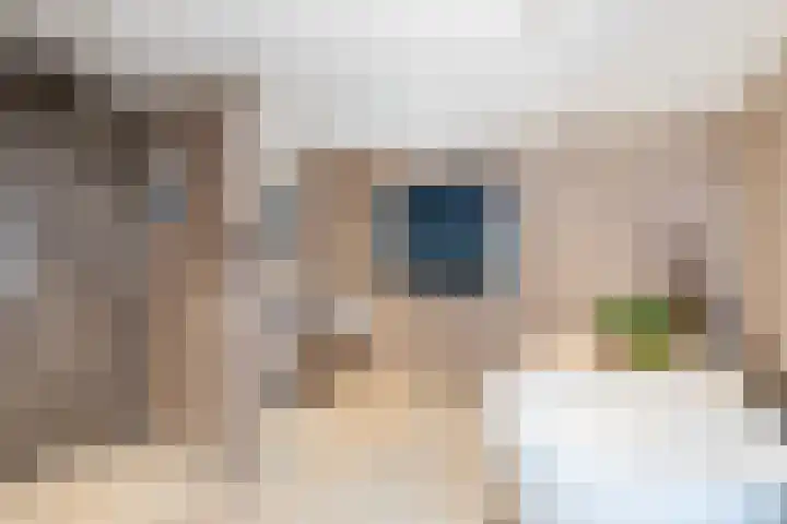 Laan van Niftarlake 39 Tienhoven thumbnail 22
