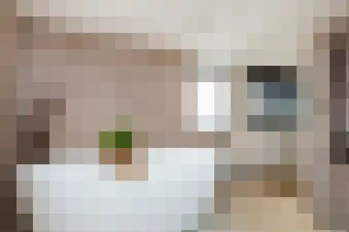 Laan van Niftarlake 39 Tienhoven thumbnail 24