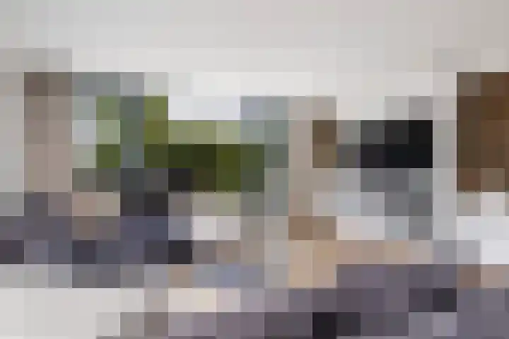 Laan van Niftarlake 39 Tienhoven foto 3
