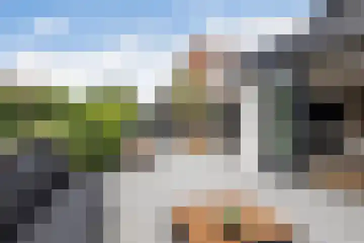 Laan van Niftarlake 39 Tienhoven thumbnail 33