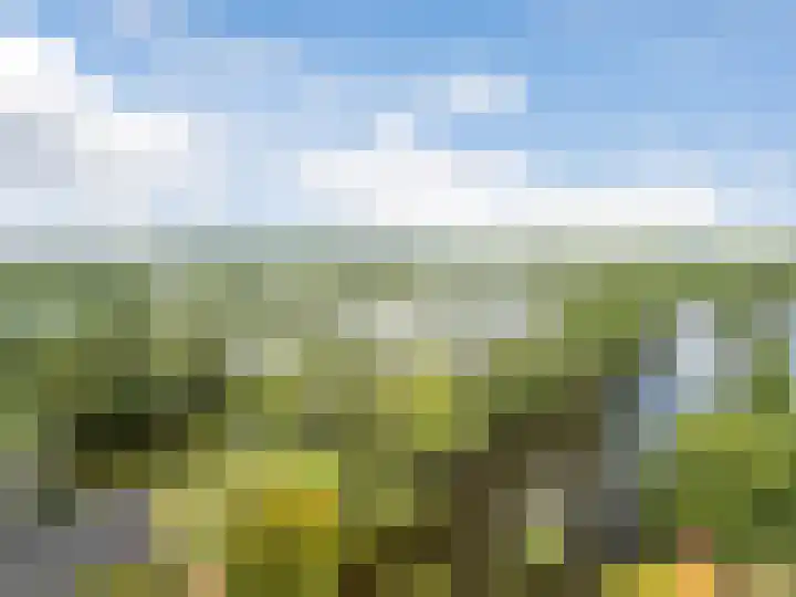 Laan van Niftarlake 39 Tienhoven thumbnail 36