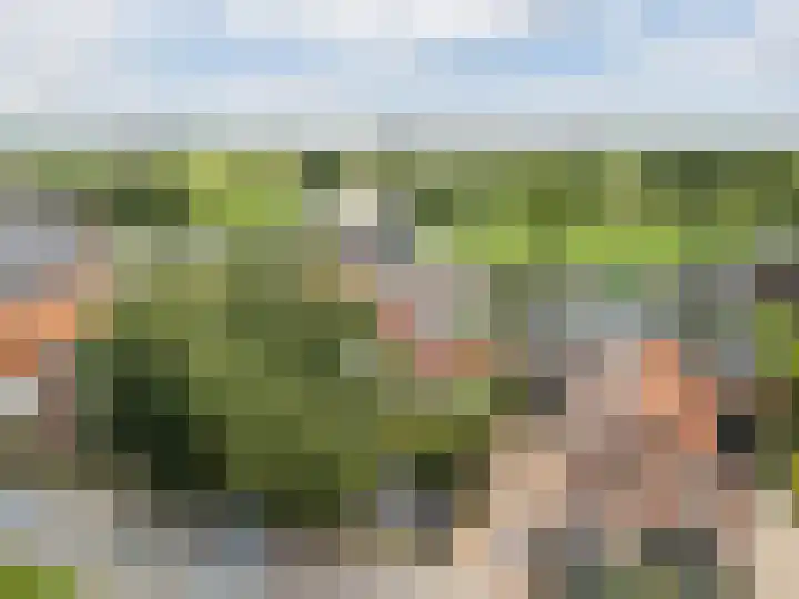 Laan van Niftarlake 39 Tienhoven thumbnail 37