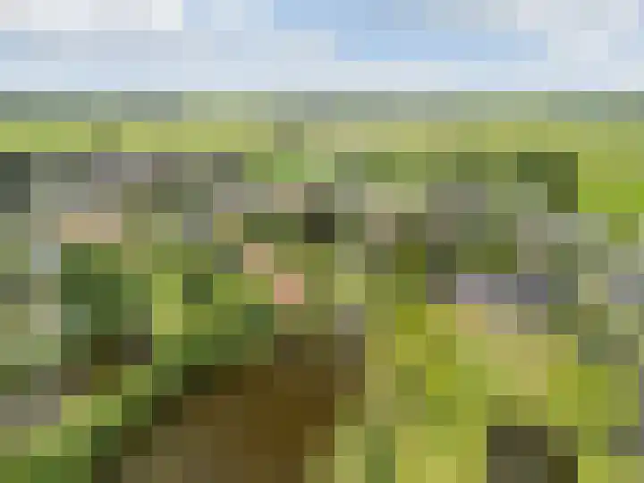 Laan van Niftarlake 39 Tienhoven thumbnail 38