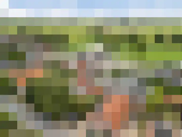 Laan van Niftarlake 39 Tienhoven thumbnail 39