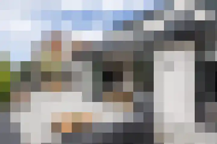Laan van Niftarlake 39 Tienhoven thumbnail 4