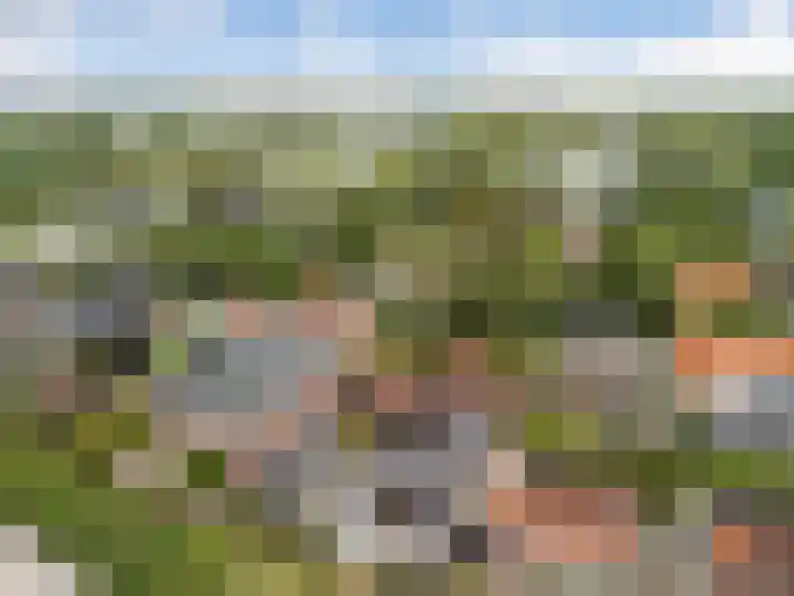 Laan van Niftarlake 39 Tienhoven thumbnail 40