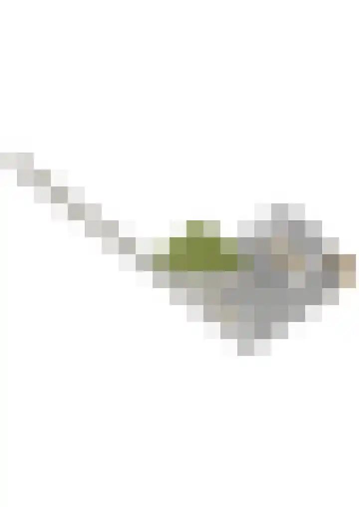 Laan van Niftarlake 39 Tienhoven thumbnail 43