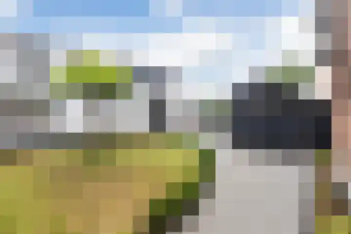 Laan van Niftarlake 39 Tienhoven thumbnail 5